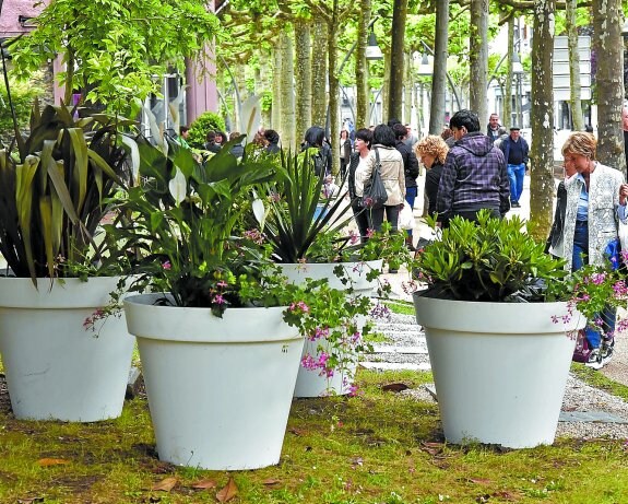 El Árbol de Gernika acogerá hasta el mes de octubre un jardín con plantas de diferentes rincones del mundo.