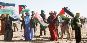 Más de dos millares de personas participaron en la marcha de protesta, hacia el muro que delimita el territorio saharaui.