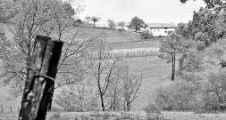 La Plataforma de Olaberria pide al PGOU ordenar el valle como parque periurbano