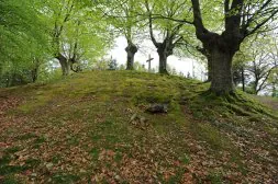 La realización de un estudio geológico de los terrenos de la Cruz de Arrate para construir un mirador ha permitido localizar una antigua fuente prehistórica. /F. MORQUECHO