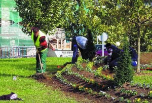 A través del proyecto Ahalbide se desarrollan trabajos de jardinería. ::
ARIZMENDI