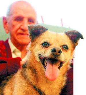 Como un reina. Pipa es acariciada por Luis Ruiz en uno de los ejercicios. ::                             FOTOS: IÑIGO PUERTA