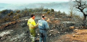 Calcinado. Dos miembros de una de las brigadas de extinción observan el estado en el que ha quedado el monte tras el incendio. ::
EFE