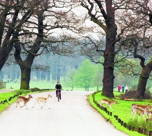 Sherwood no se vende