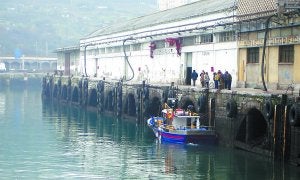Lonja. Las obras de la denominada fase transitoria comenzarán este mismo mes. ::                             VIÑAS