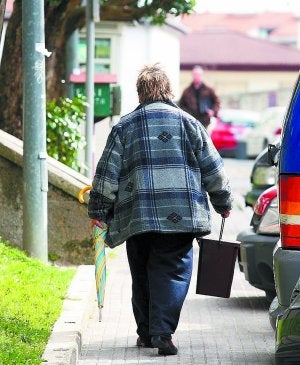PaP. Una mujer porta el cubo para la recogida en Usurbil. ::
ARIZMENDI