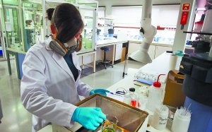 Punteros. Un laboratorio del Instituto Universitario de Materiales Poliméricos (Polymat), en San Sebastián, uno de los centros punteros de la UPV-EHU. ::                             MICHELENA