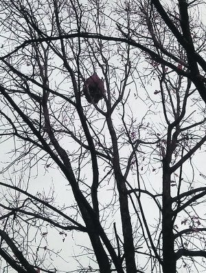 ::                             KOLDO