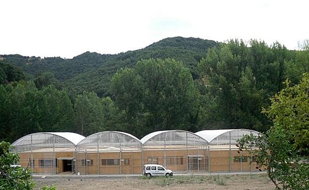 Instalaciones de Ciuden Vivero en Igüeña.