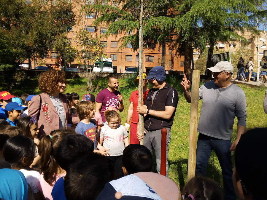 Fotos: Plantación de árboles en el colegio Peñalba de Ponferrada