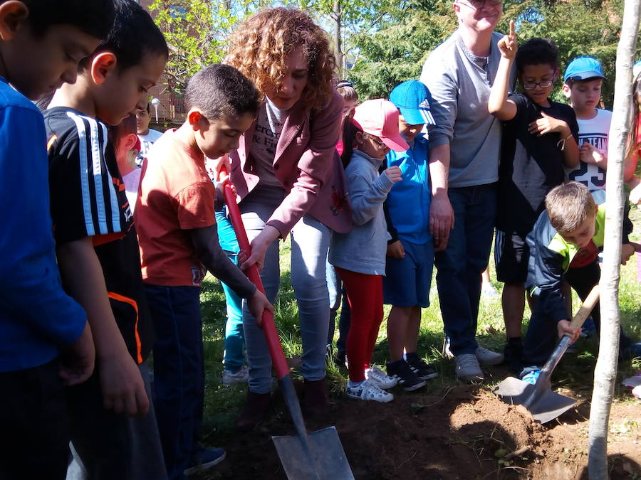 Fotos: Plantación de árboles en el colegio Peñalba de Ponferrada