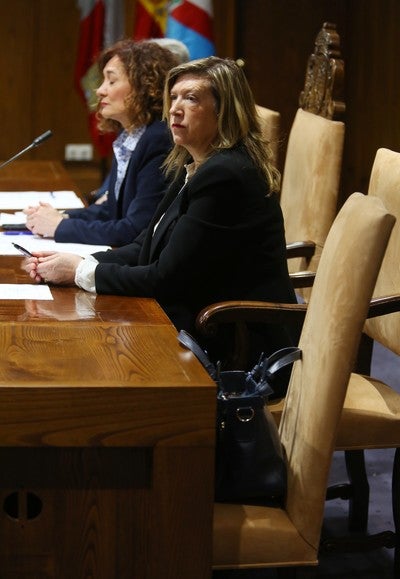Fotos: Pleno de Ponferrada