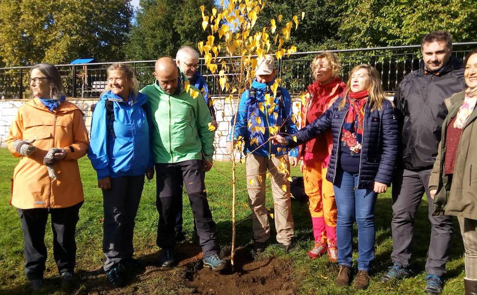 Representantes del Camino de Invierno a Santiago de Compostela a su paso por Ponferrada y el Camino de San Olav en Noruega durante la plantación del abedul en el parque del río Sil. 