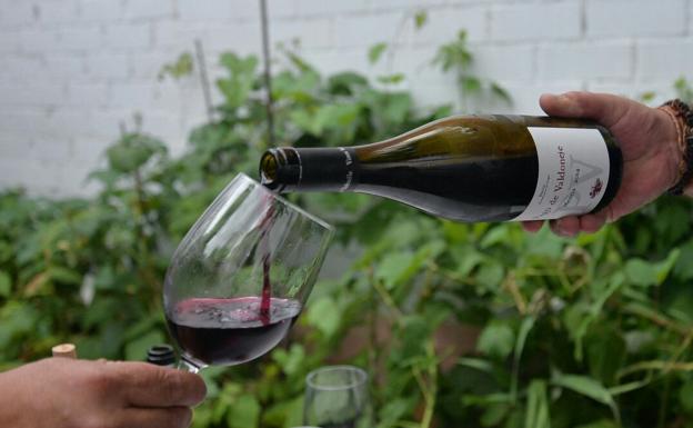 Fabero celebra su quinta Feria del Vino