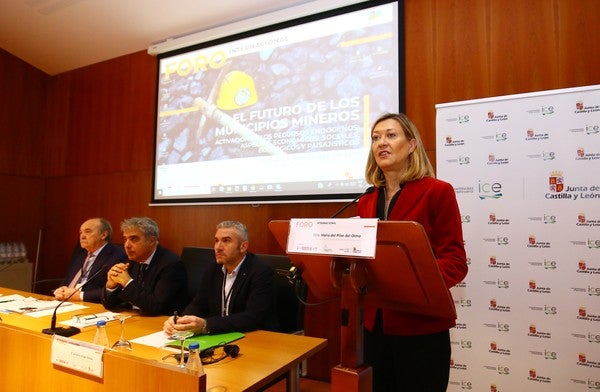 Fotos: Foro internacional &#039;El futuro de los municipios mineros&#039; en Bembibre