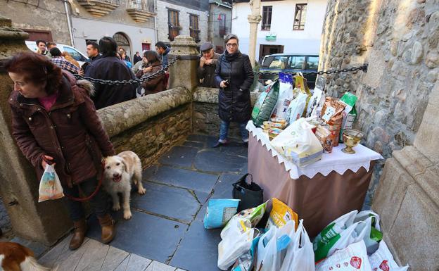 Bendición de los animales en Cacabelos en 2018. 