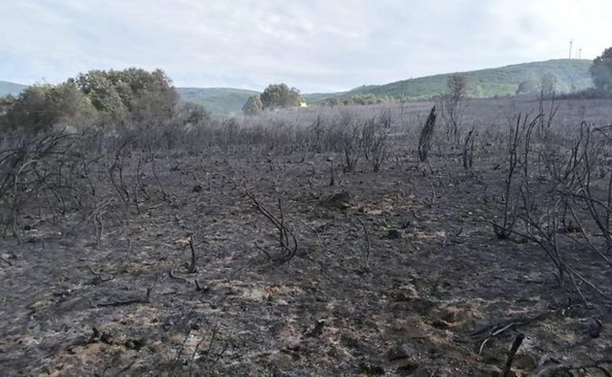 El incendio de Torre del Bierzo, ya controlado.