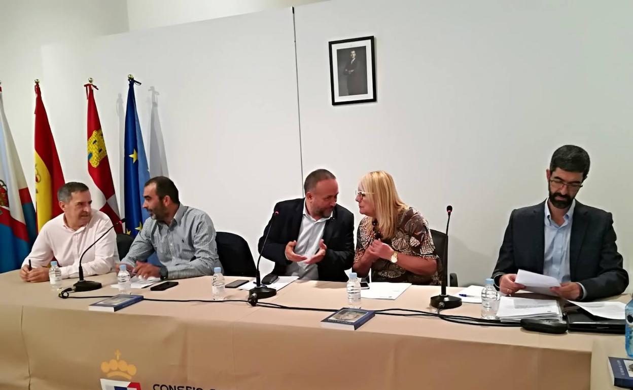 Imagen del pleno del Consejo de este martes.