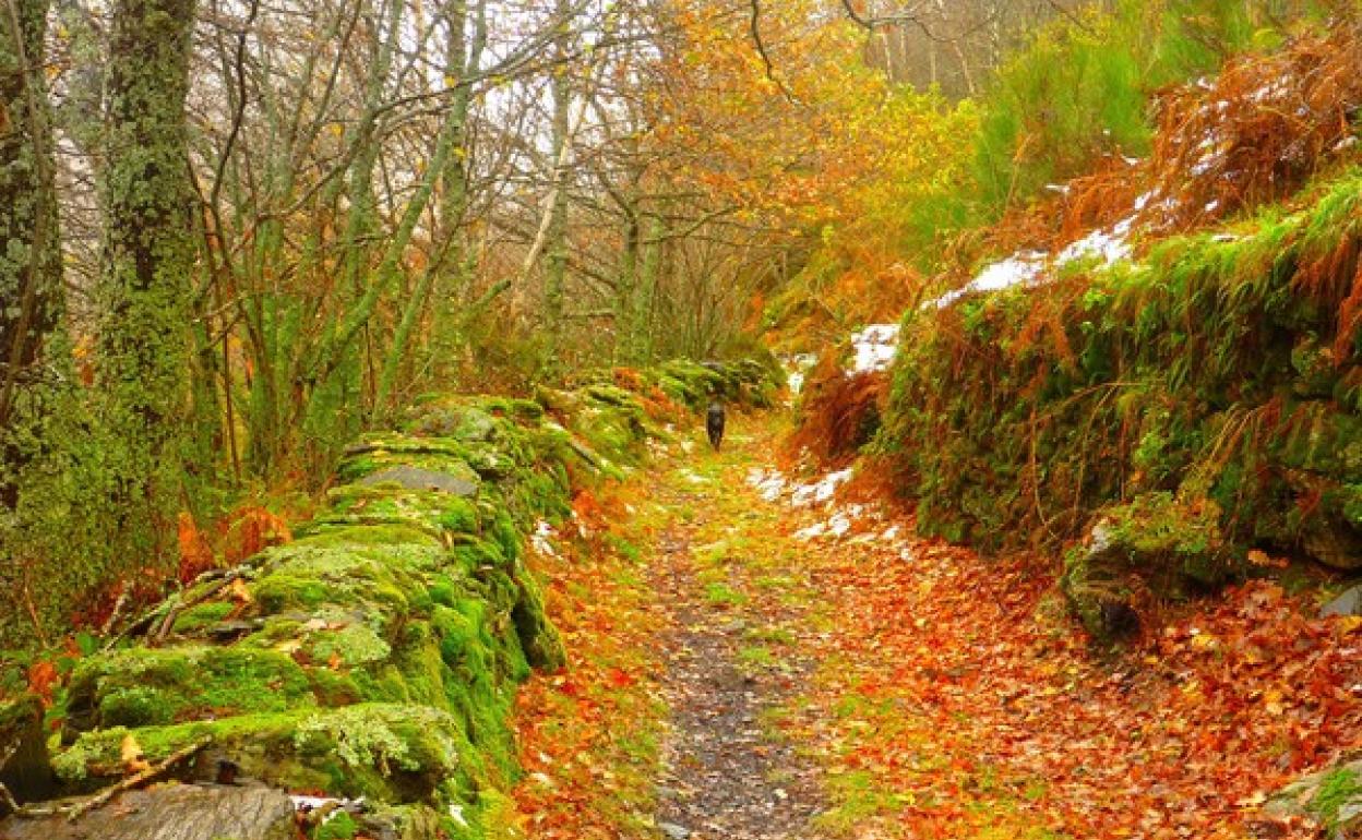 'Guímara, otoño', imagen ganadora del II Concurso de fotografía de la Reserva de la Biosfera de los Ancares Leoneses, obra de Laura Martín.