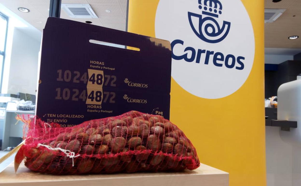 Diez toneladas de castañas viajan desde el Bierzo a distintos puntos de la península durante el primer mes de la campaña de Correos