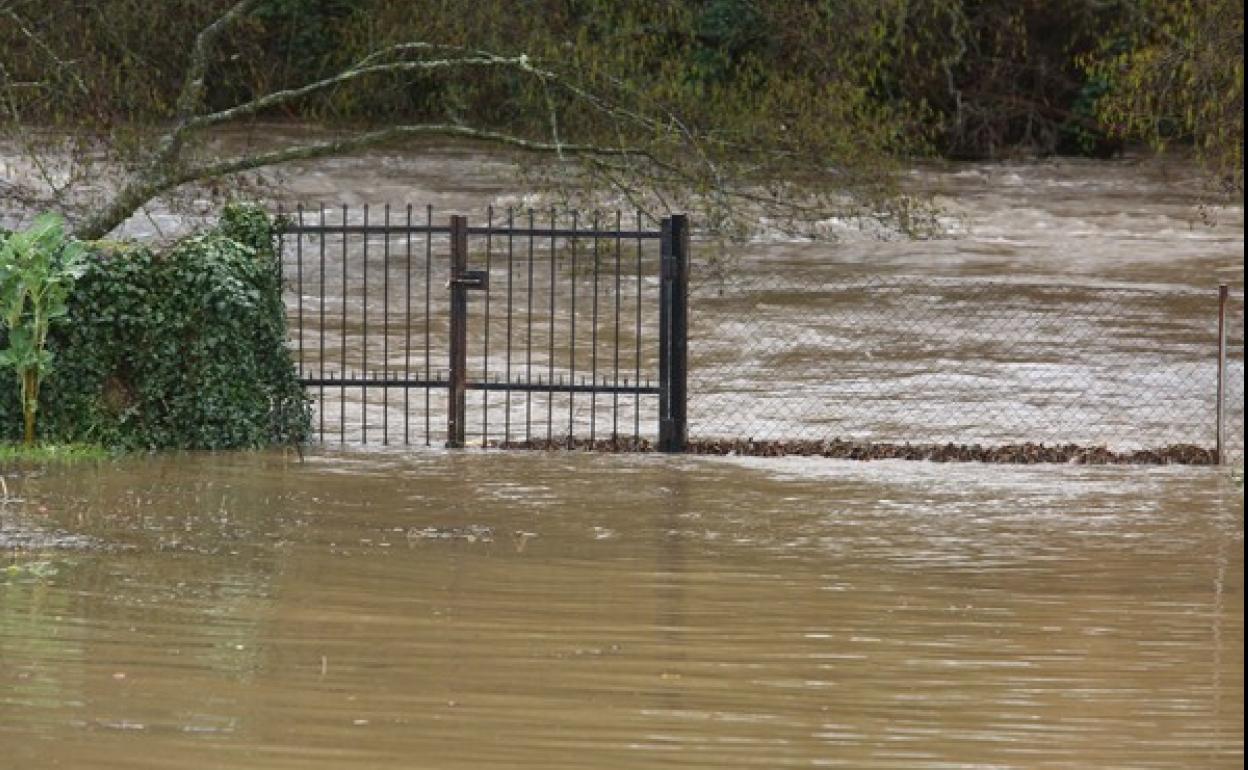 Los ríos Sil y Boeza desbordados a su paso por Ponferrada.