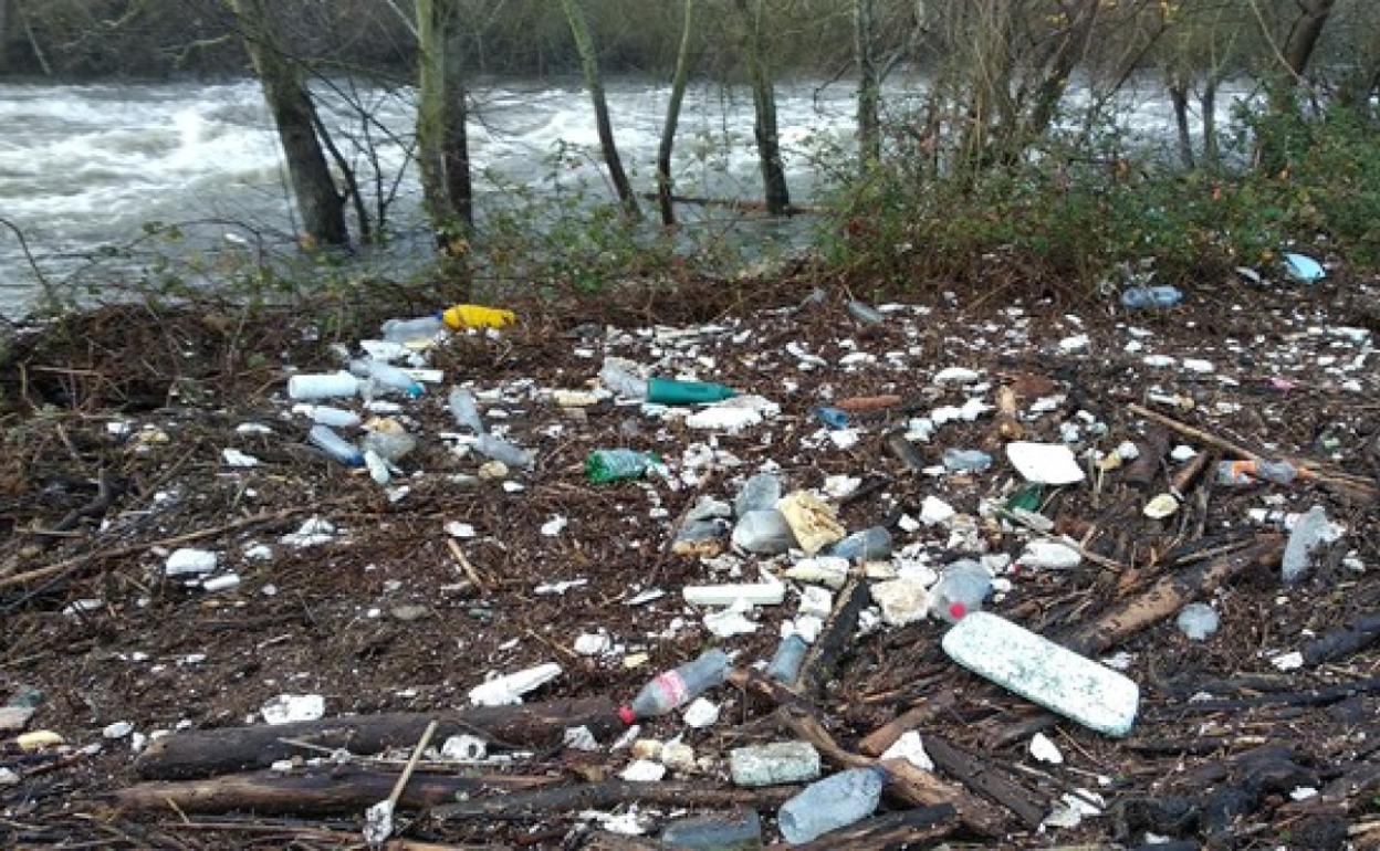 Basura acumulada en las márgenes del Sil en Ponferrada tras las inundaciones de diciembre.
