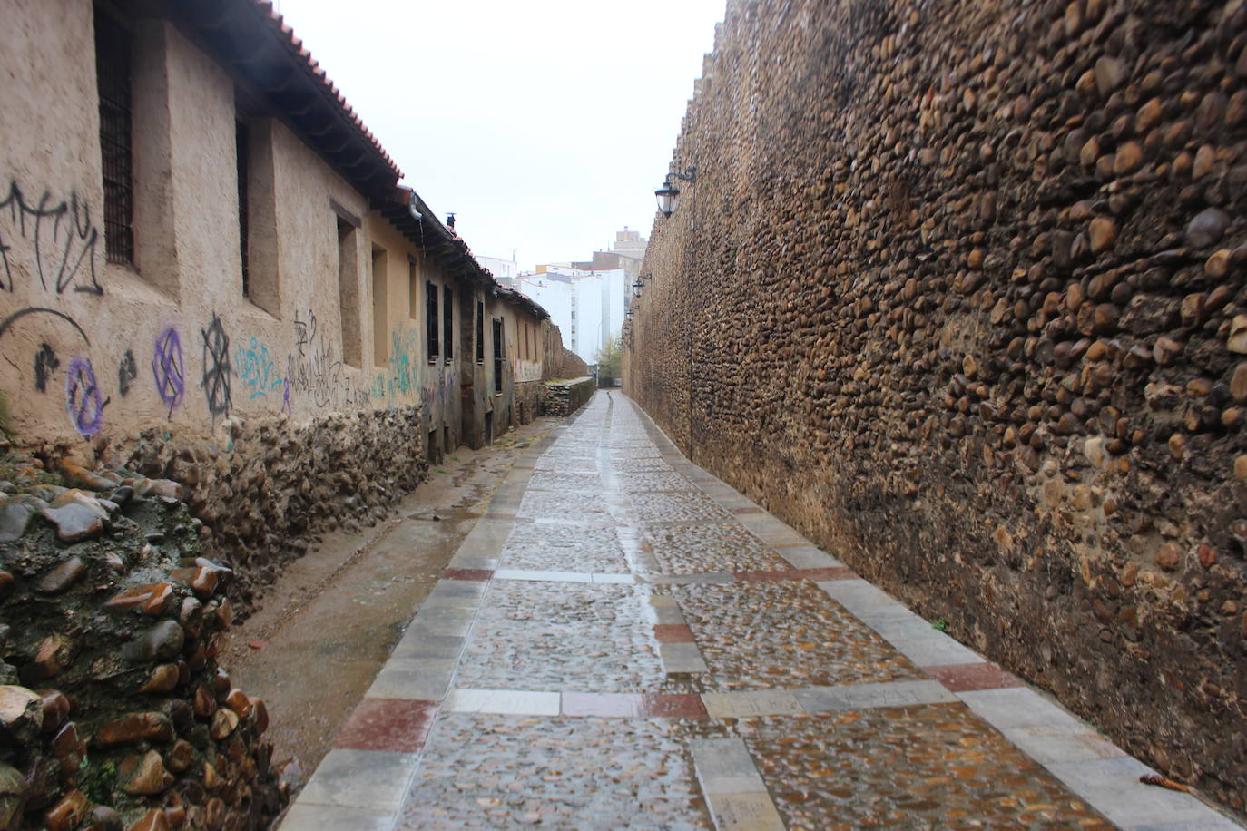 Fotos: León, en aislamiento y con lluvia