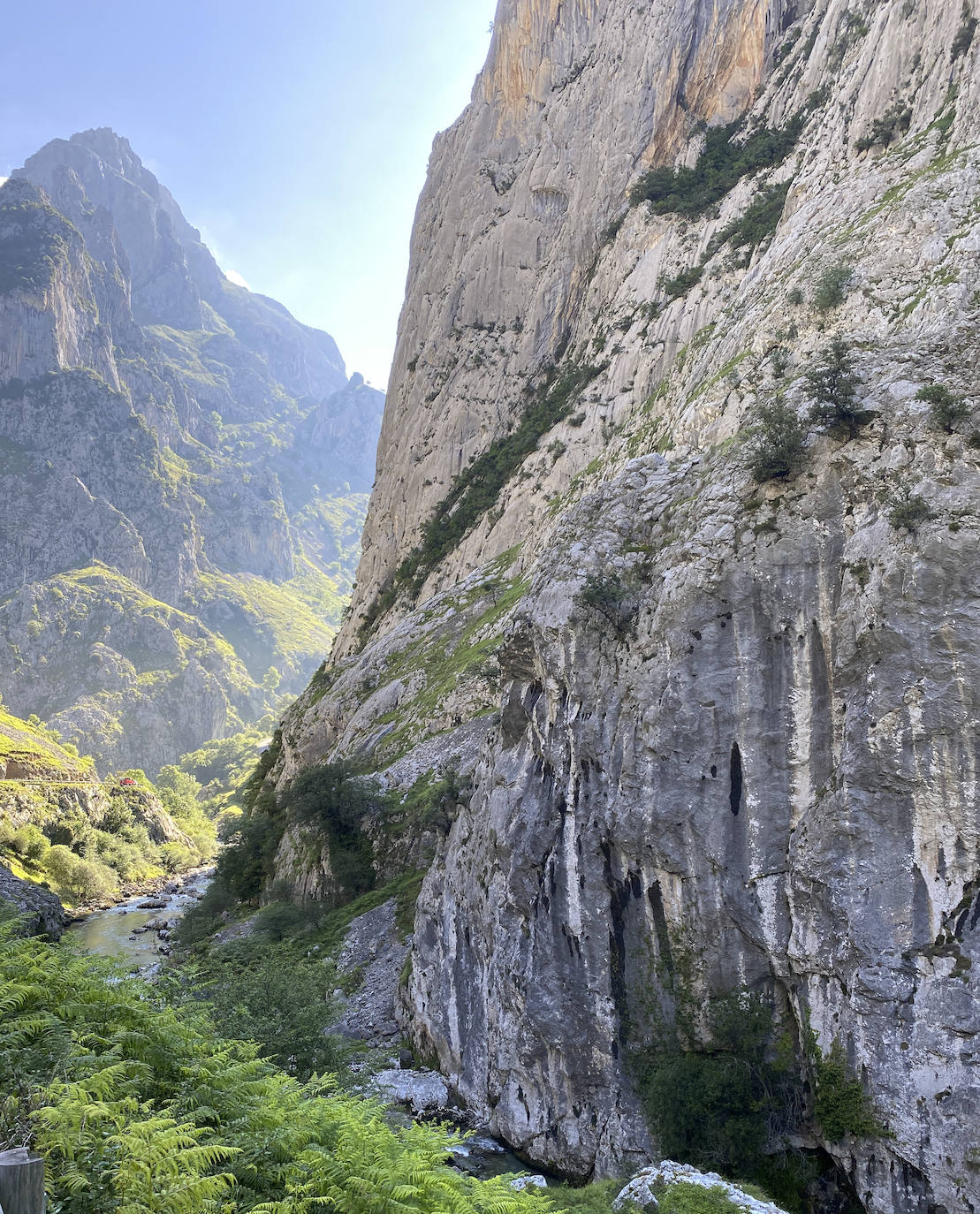 Los aficionados al senderismo han estrenado el verano y la nueva normalidad con un espléndido día para adentrarse en la montaña. El Urriellu, en los Picos de Europa, ha sido el telón de fondo mara muchos de los amantes de este deporte que ha acudido a realizar la popular Ruta del Cares. Poco a poco, el sendero va recuperando su afluencia habitual. 