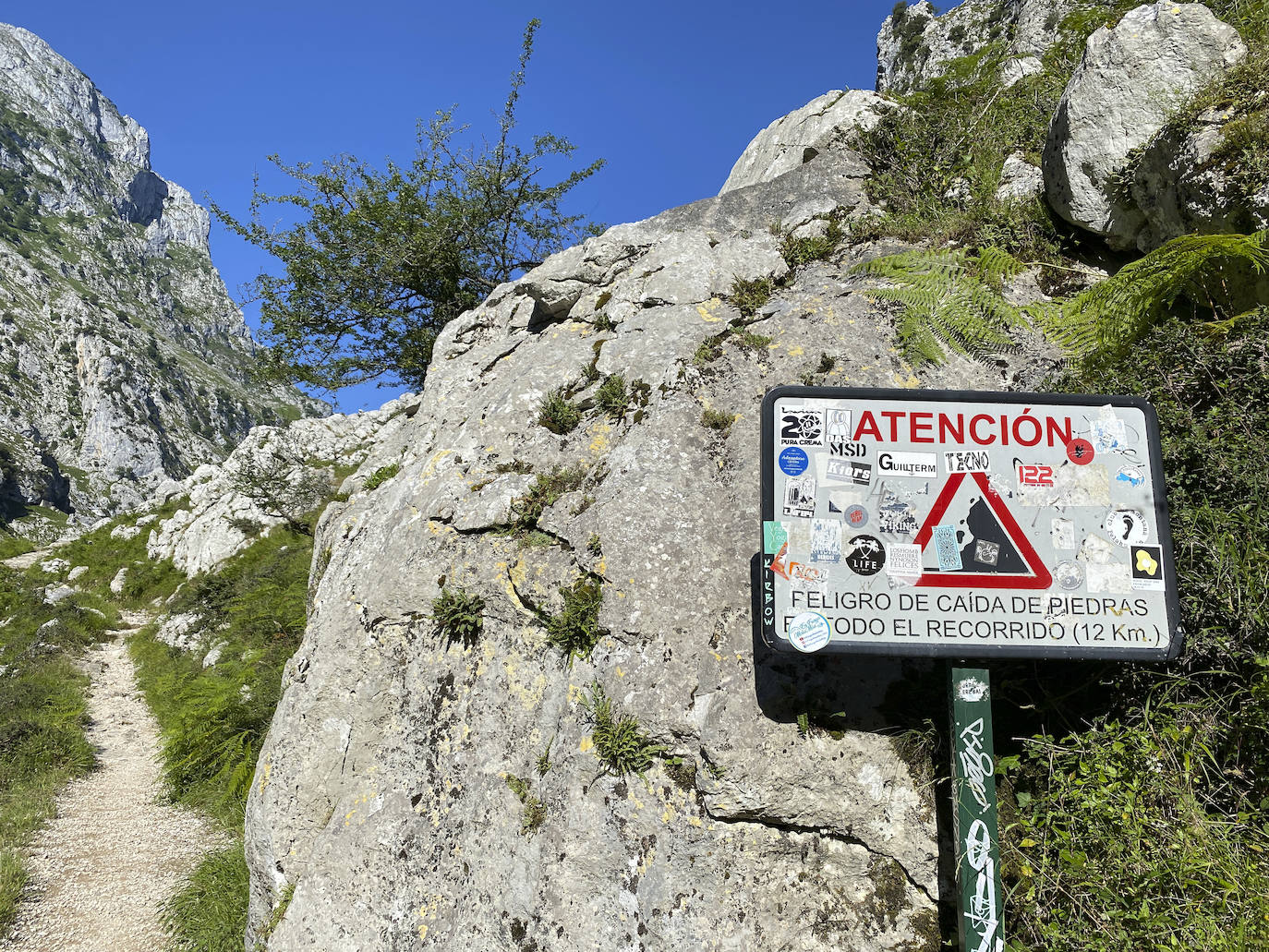 Los aficionados al senderismo han estrenado el verano y la nueva normalidad con un espléndido día para adentrarse en la montaña. El Urriellu, en los Picos de Europa, ha sido el telón de fondo mara muchos de los amantes de este deporte que ha acudido a realizar la popular Ruta del Cares. Poco a poco, el sendero va recuperando su afluencia habitual. 