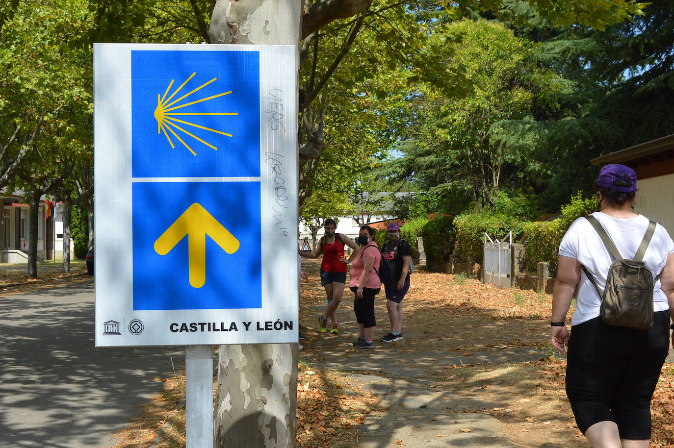 Fotos: Asprona evalúa la accesibilidad cognitiva del Camino