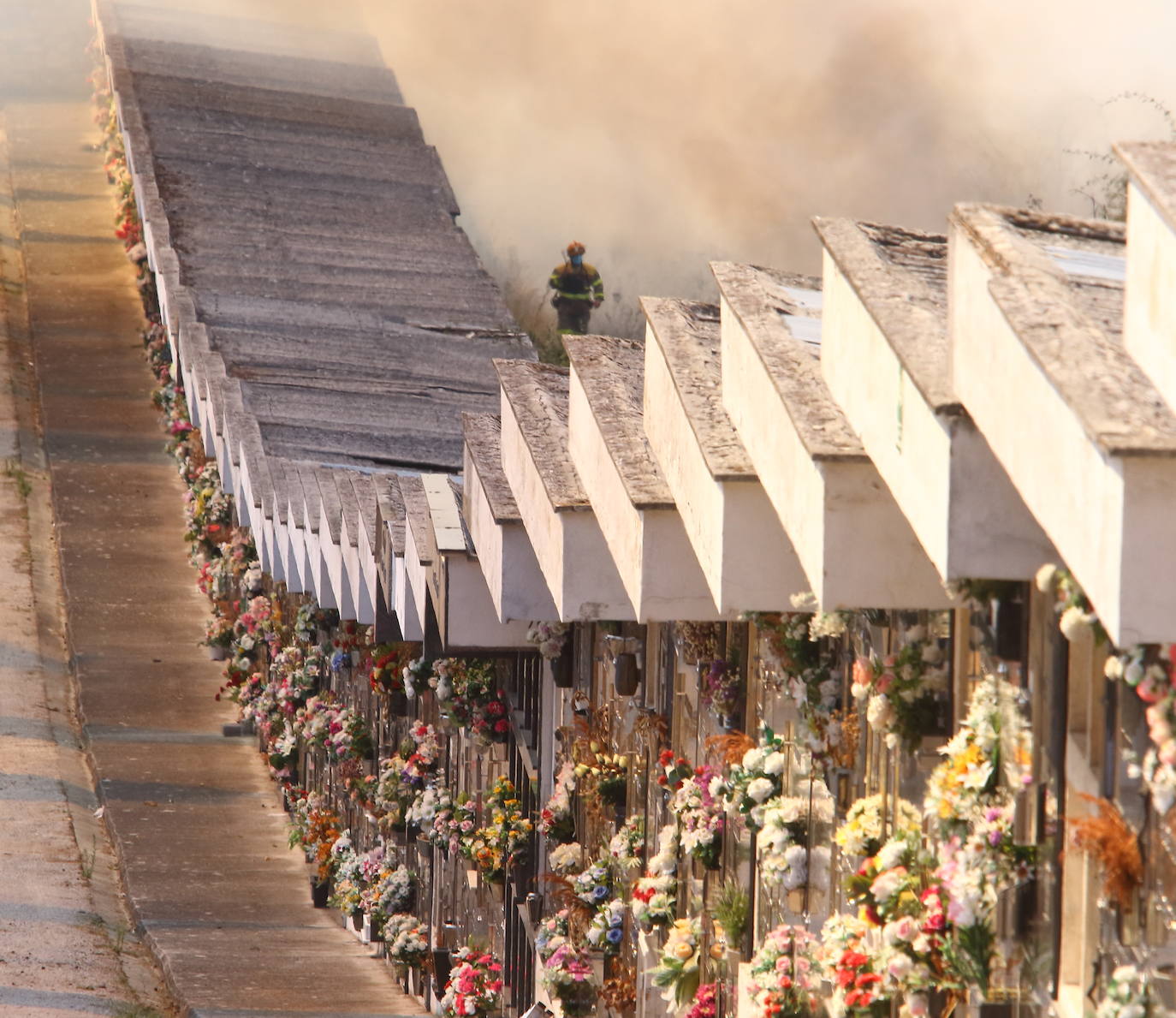 Fotos: Incendio forestal en las inmediaciones del cementerio de Ponferrada