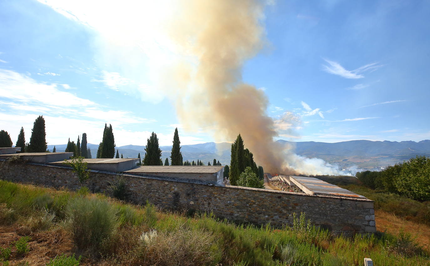 Fotos: Incendio forestal en las inmediaciones del cementerio de Ponferrada