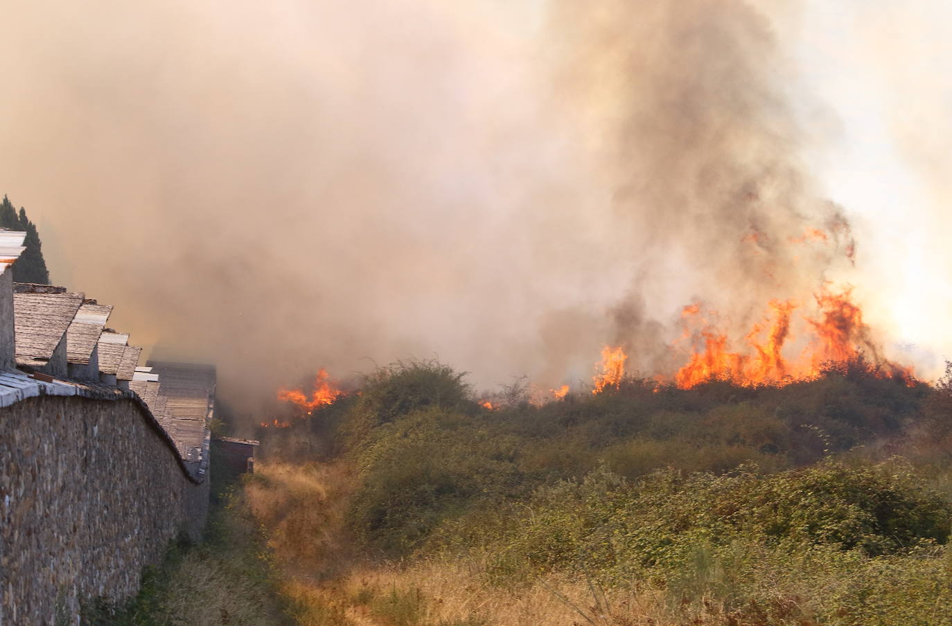 Fotos: Incendio forestal en las inmediaciones del cementerio de Ponferrada