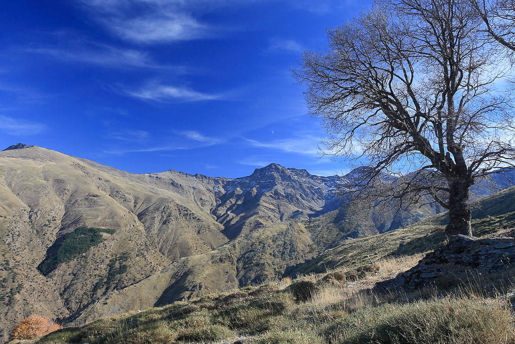 Sierra Nevada, Granada.