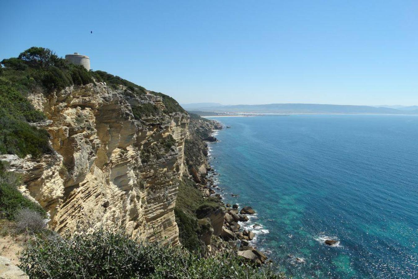 Parque natural de La Breña y Marismas del Barbate, Cádiz.