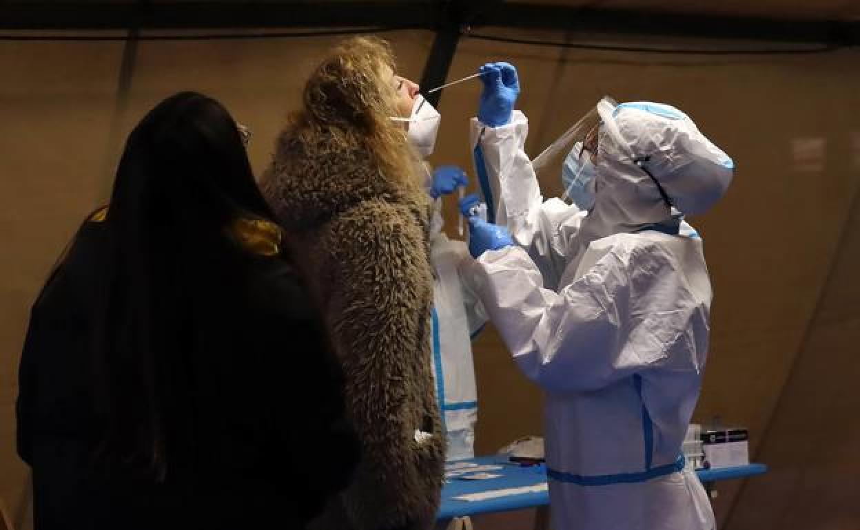 Cribado de Santa María del Páramo.