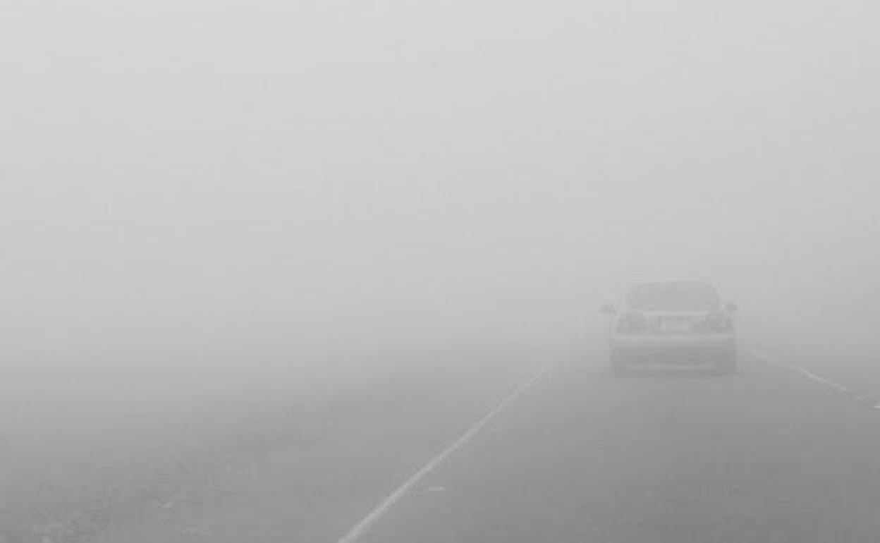 La niebla complica la circulación.