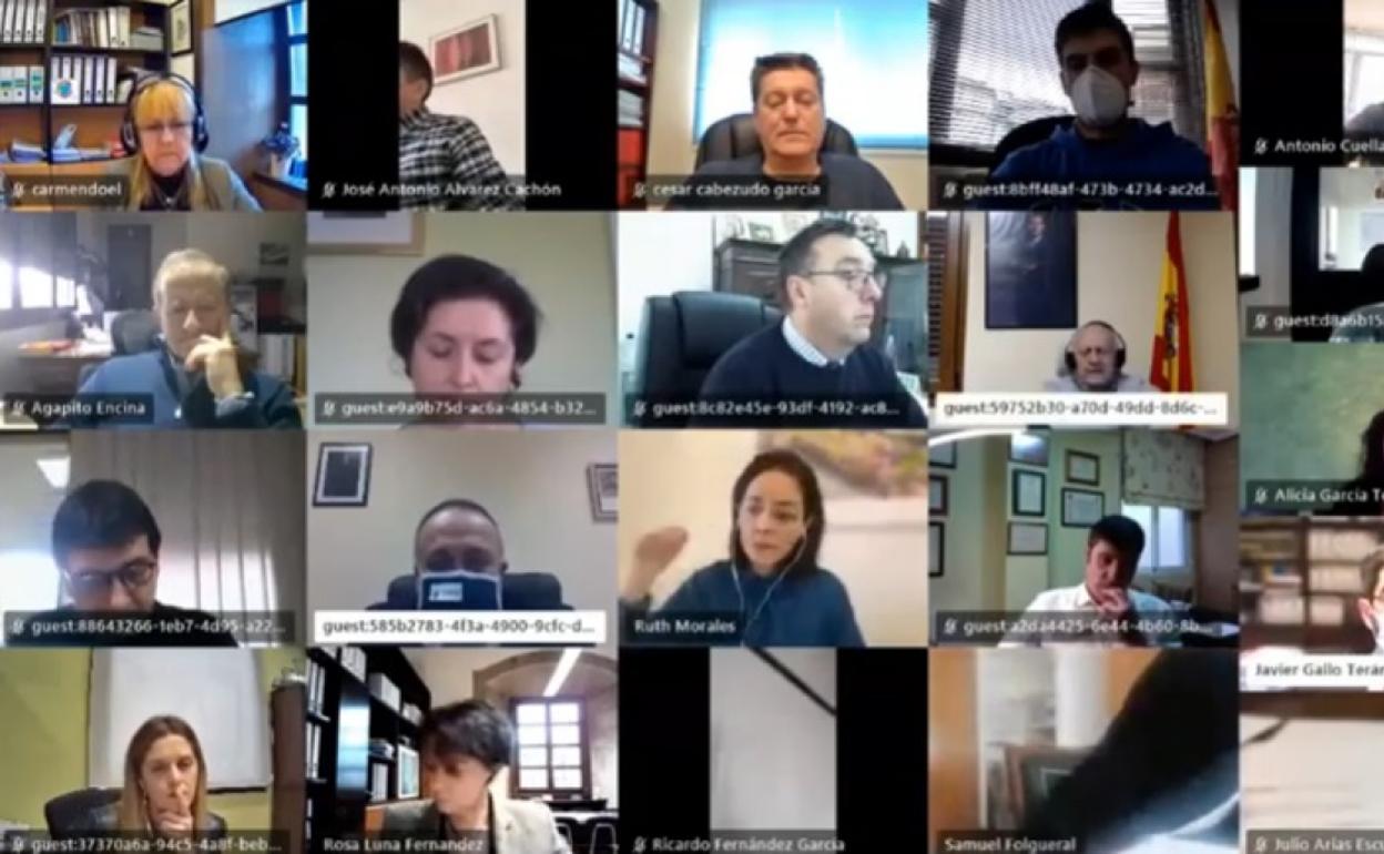 Imagen del pleno telemático del Consejo Comarcal.