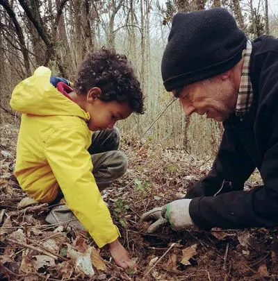 Fotos: Ciuden y Bierzo Vivo plantarán 200 árboles en el futuro bosque terapéutico de Villar de Los Barrios