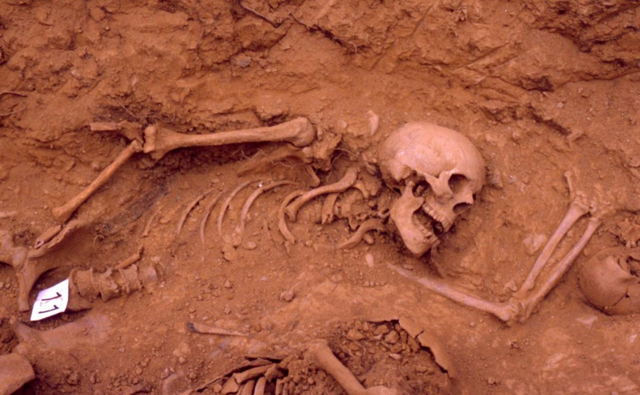 El Gobierno aprueba una ayuda para un proyecto de exhumación de fosas de la Guerra Civil en Ponferrada