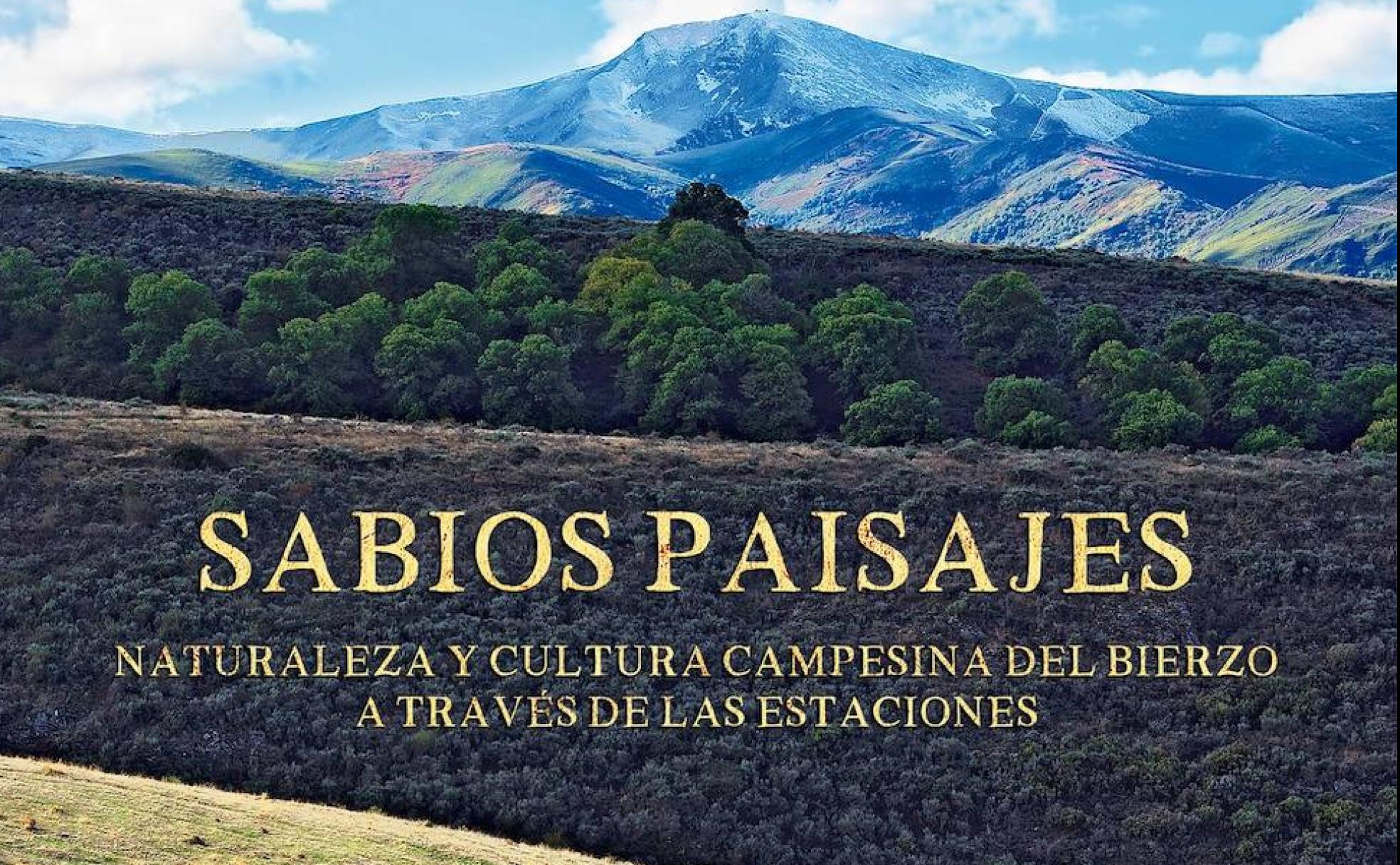 Imagen de la portada del libro.
