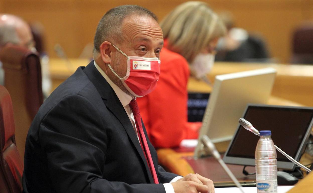 El presidente comarcal durante su comparecencia en el Senado.