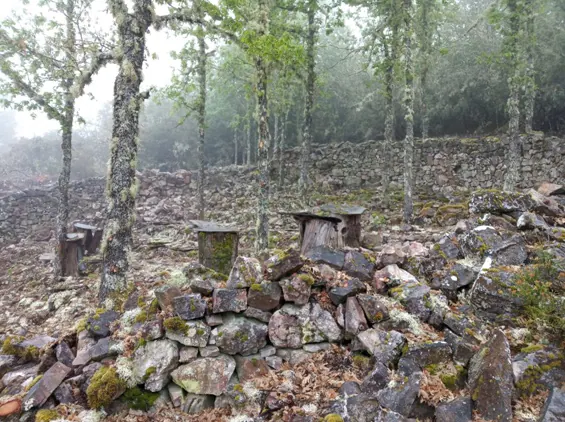 Fotos: Sancedo recupera dos antiguos cortines para proteger las colmenas del ataque de los osos