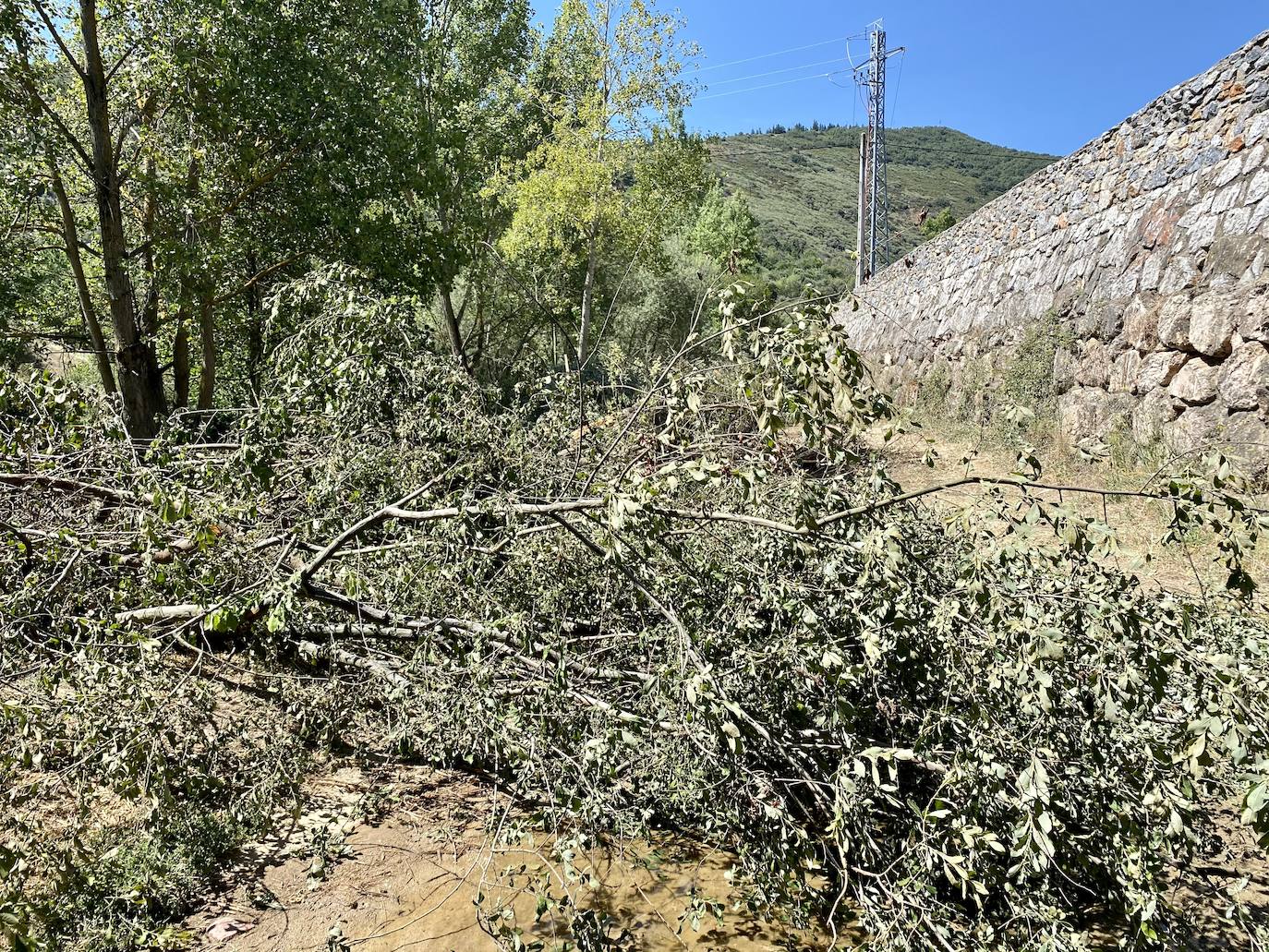 Fotos: Inicio de la segunda fase de la senda del Sil en Ponferrada