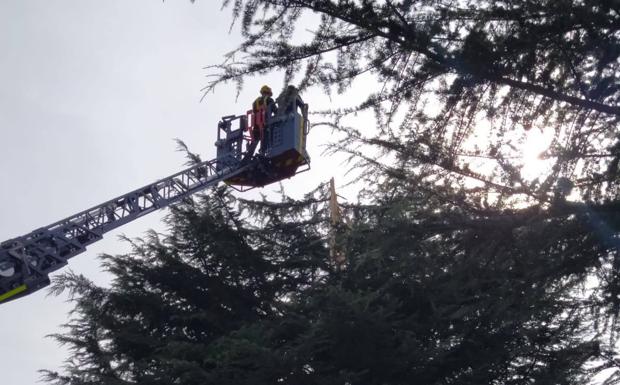 Retirada de ramas rotas por la caída de rayos.