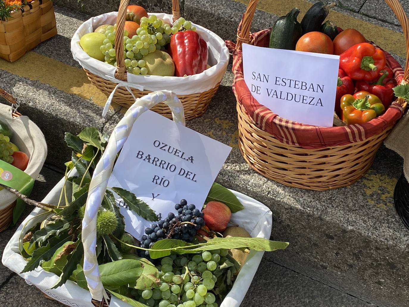 Fotos: Día de la Encinina en Ponferrada