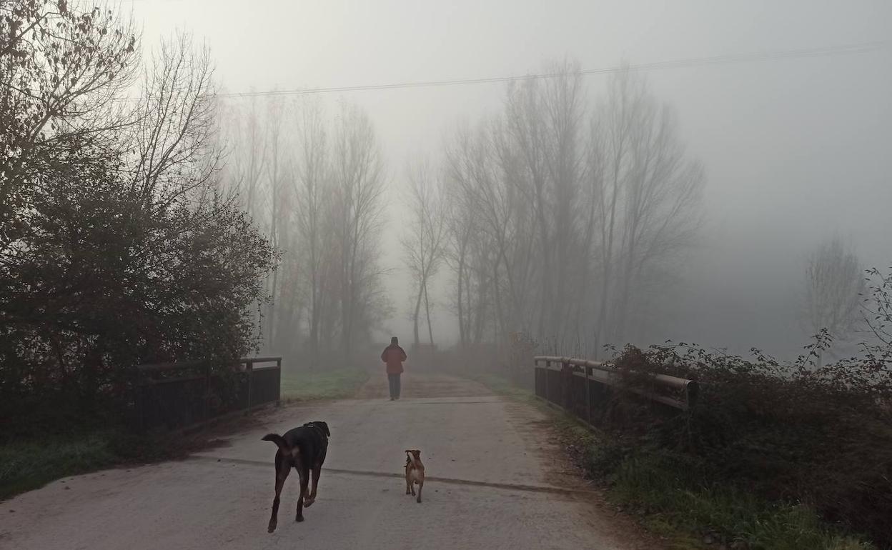 La niebla hace acto de presencia en El Bierzo.