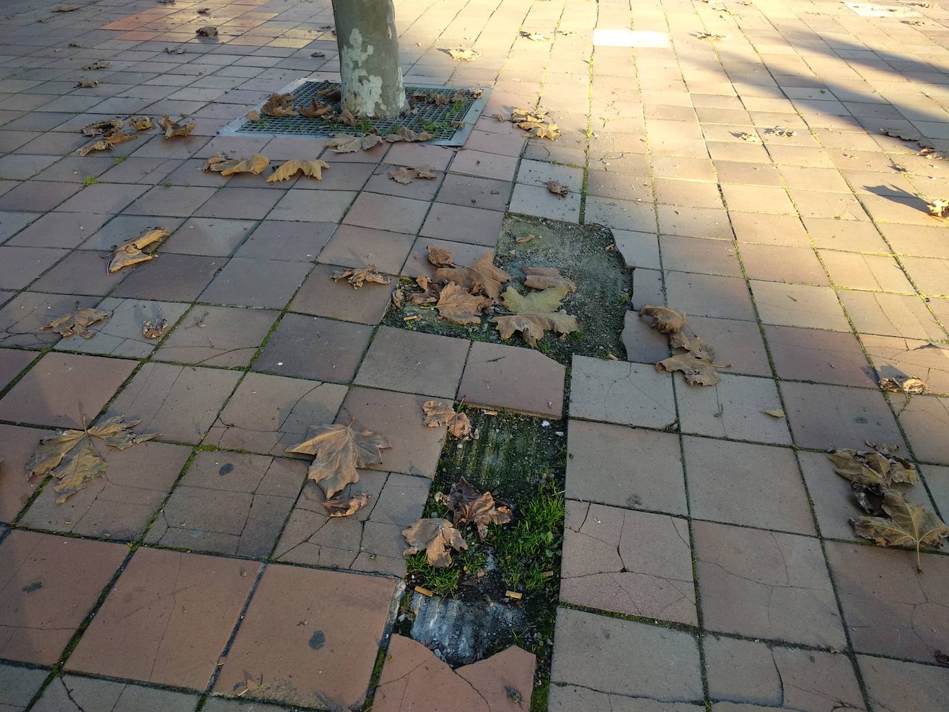 Concentración de los padres y madres de alumnos del colegio Navaliegos a las puertas del centro.