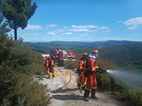 Ejercicios de formación en lucha contra incendios forestales del batallón de emergencias de la UME en Vega de Espinareda.