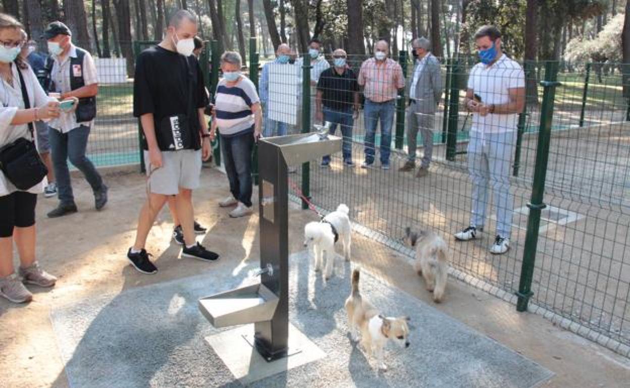 Imagen del área canina del parque del Temple.
